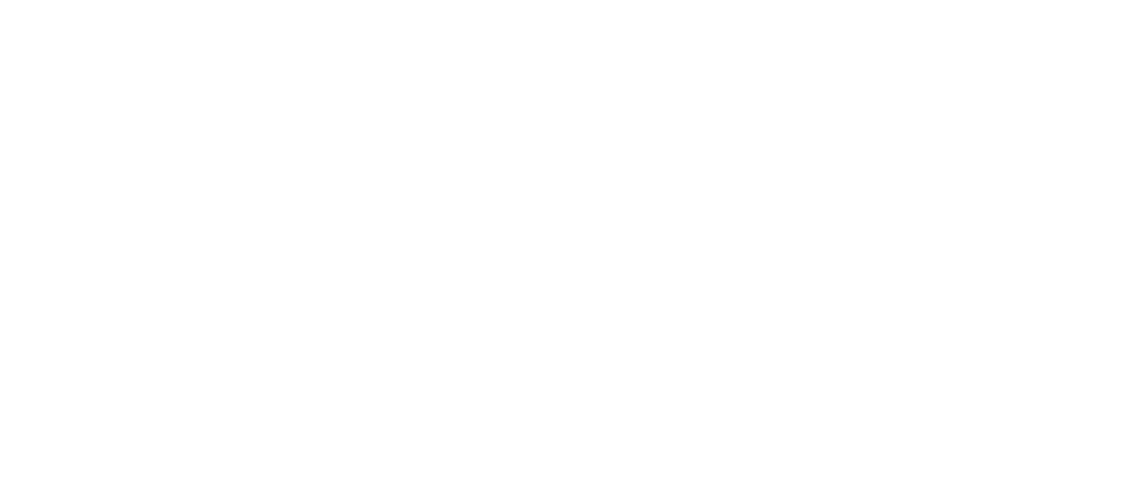 Epidemic of Fraud