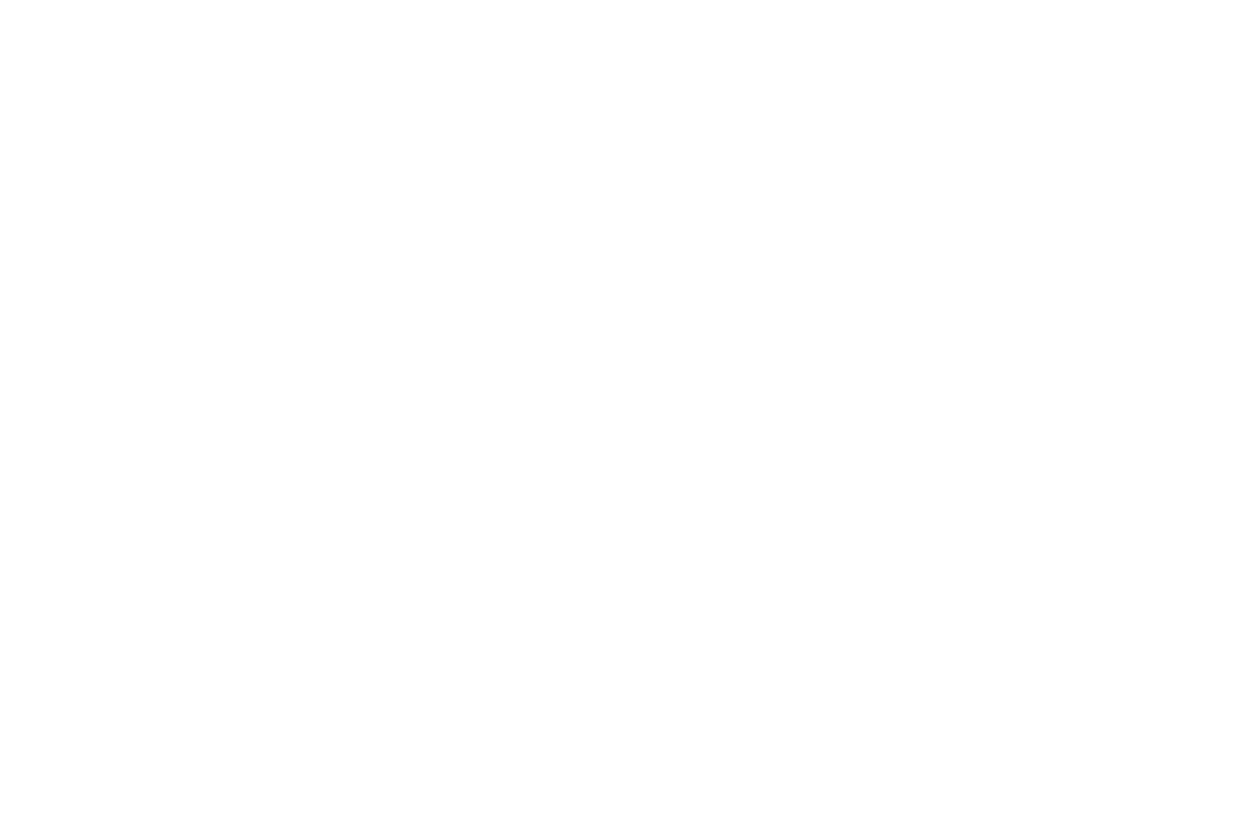 BEST DOCUMENTARY EPIDEMIC OF FRAUD - INFLUX Film Awards - 2024-2