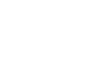OFFICIAL SELECTION - Documentaries Without Borders International Film Festival - 2024